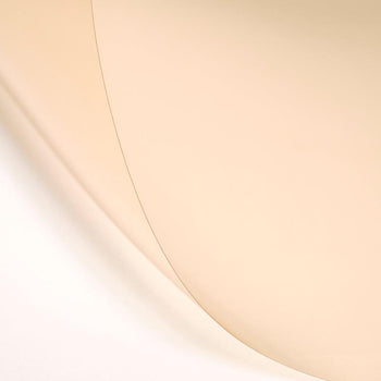 LEE Filters Eighth CTO CT Orange Photo