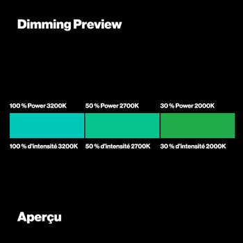 LEE Filters 116 Medium Blue Green Dimming Preview - CA