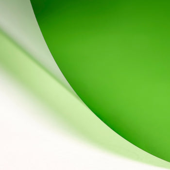 LEE 244 Plus Green Lighting Gel