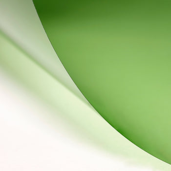 LEE 245 Half Plus Green Lighting Gel