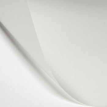 LEE 404 Half Soft Frost Roll Lighting Gel