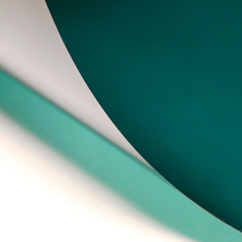 LEE 219 LEE Fluorescent Green Lighting Gel